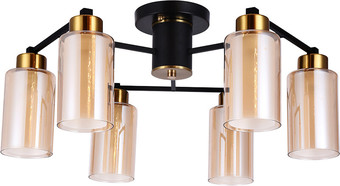 Люстра средней высоты Arte Lamp Leo A7027PL-6BK
