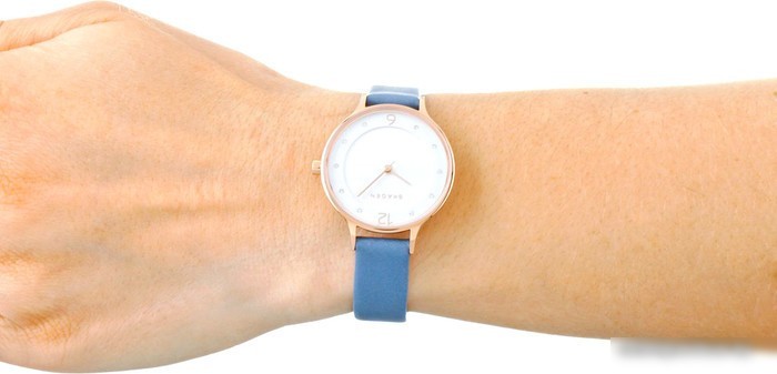 Наручные часы Skagen SKW2497