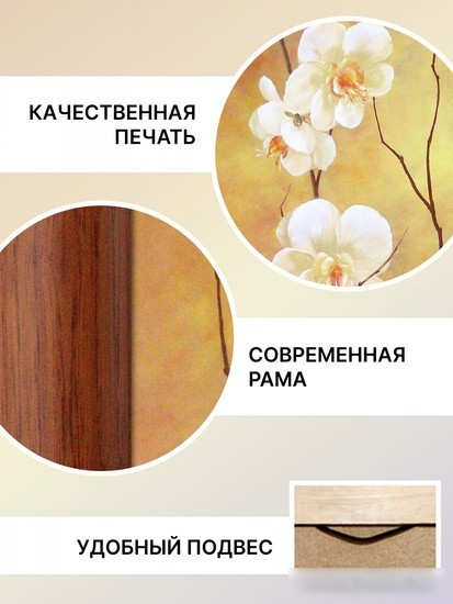 Картина Декарт 8Л2223