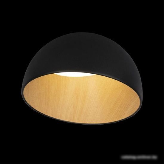 Люстра средней высоты LOFT IT Egg 10197/350 (черный)