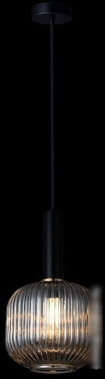 Подвесная люстра LOFT IT IRIS 2070-B+BL