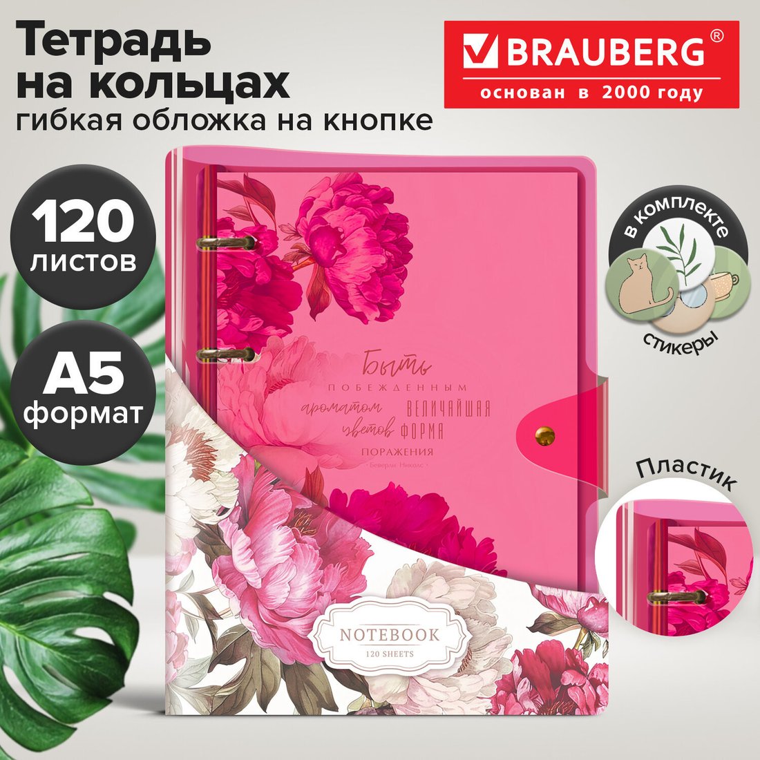 Общая тетрадь BRAUBERG Vibe 405221 (120л, розовый)