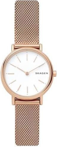 Наручные часы Skagen SKW2694