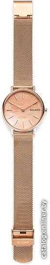 Наручные часы Skagen SKW2732