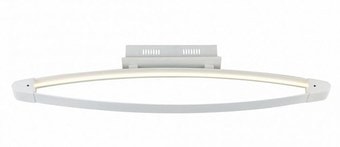 Припотолочная люстра ST Luce Orione SL920.102.01