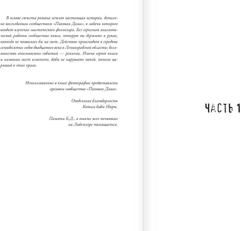 Книга издательства АСТ. Баба Нюра. Либежгора. Мистический роман, основ. на реал событиях (твердая обложка)