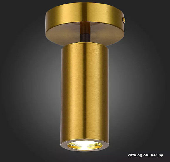 Припотолочная люстра ST Luce SL1215.402.01