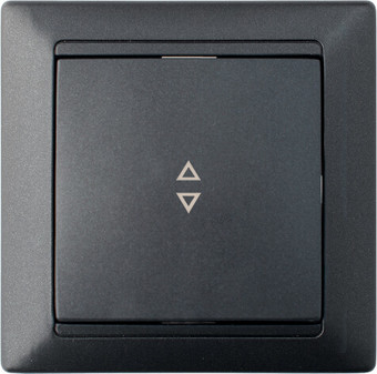 Выключатель Bylectrica С6 10-807 (графит)